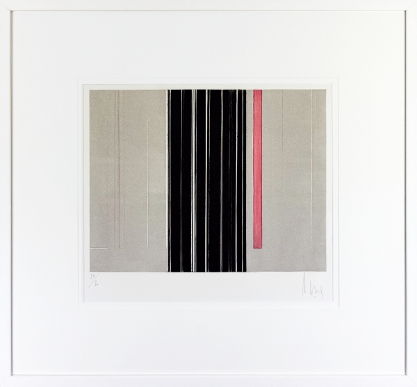PEIRE Luc - Washington